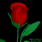rose